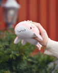 [PRE-ORDER, ETA Summer 2025] Saga The Strawberry Shark Plush